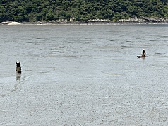 位於韓國全羅南道高興郡的竹岩里泥灘展現汝自灣長期沉積作用的成果，是細粒泥質泥灘的典型代表，當地居民為因應深厚泥灘環境，發展出用泥灘木筏撈捕的傳統作業方式。