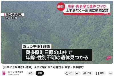 NHK World JAPAN 19日報導，有人在東京西部山區發現一具屍體殘骸，附近可見疑似大型動物的足跡，疑似熊隻攻擊。其他日媒稱該具屍體沒有上半身。(翻攝日テレNEWS YT)