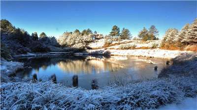 臺灣  大雪山國家森林遊樂區(林業及自然保育署臺中分署提供)