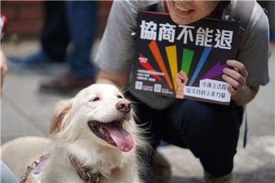 台灣民眾對同婚支持度提升，連帶增加對同志參政的支持。(彩虹平權大平台 提供)