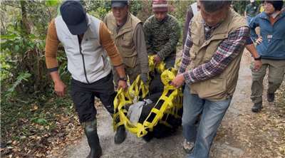 林業及自然保育署嘉義分署
黑熊生態給付攜手阿里山部落守護家園