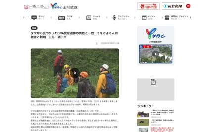 日本山形縣一名老翁為採收野菜，獨自前往酒田市山區後下落不明。警方25日宣布，這名老翁被熊攻擊致死。而這也是山形縣內相隔37年首度發生熊襲人致死案。圖為當地媒體的新聞報導。(翻攝「山形放送」官網)