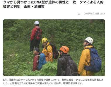 日本山形發生近40年來首起熊襲人致死案。(翻攝「山形放送」網站)