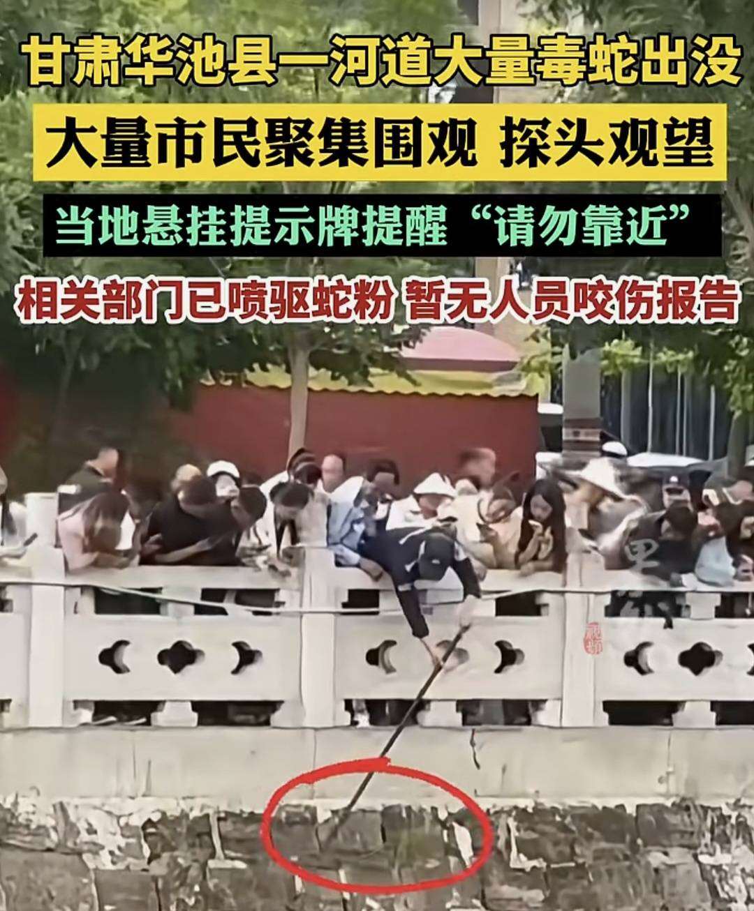 (來源：微信視頻號)