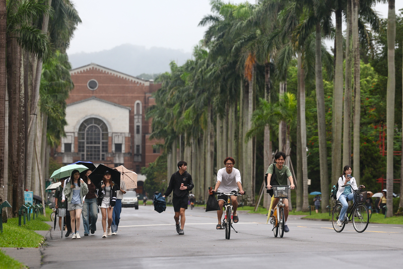 英國高等教育調查機構QS發布2027年世界大學排名，台灣有4所大學院校進入世界前200名，為歷來數量最多的一次；其中，台灣大學在全球排名第54、在亞洲排名第17，是歷年最佳成績。圖為台大校園椰林大道。資料照。