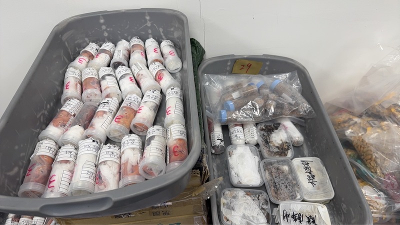 金門小三通邢姓旅客17日自中國廈門入境金門，其手提行李夾藏約304隻守宮等活體動物遭查獲。財政部關務署高雄關18日表示，全案將依相關規定移請權責機關辦理。