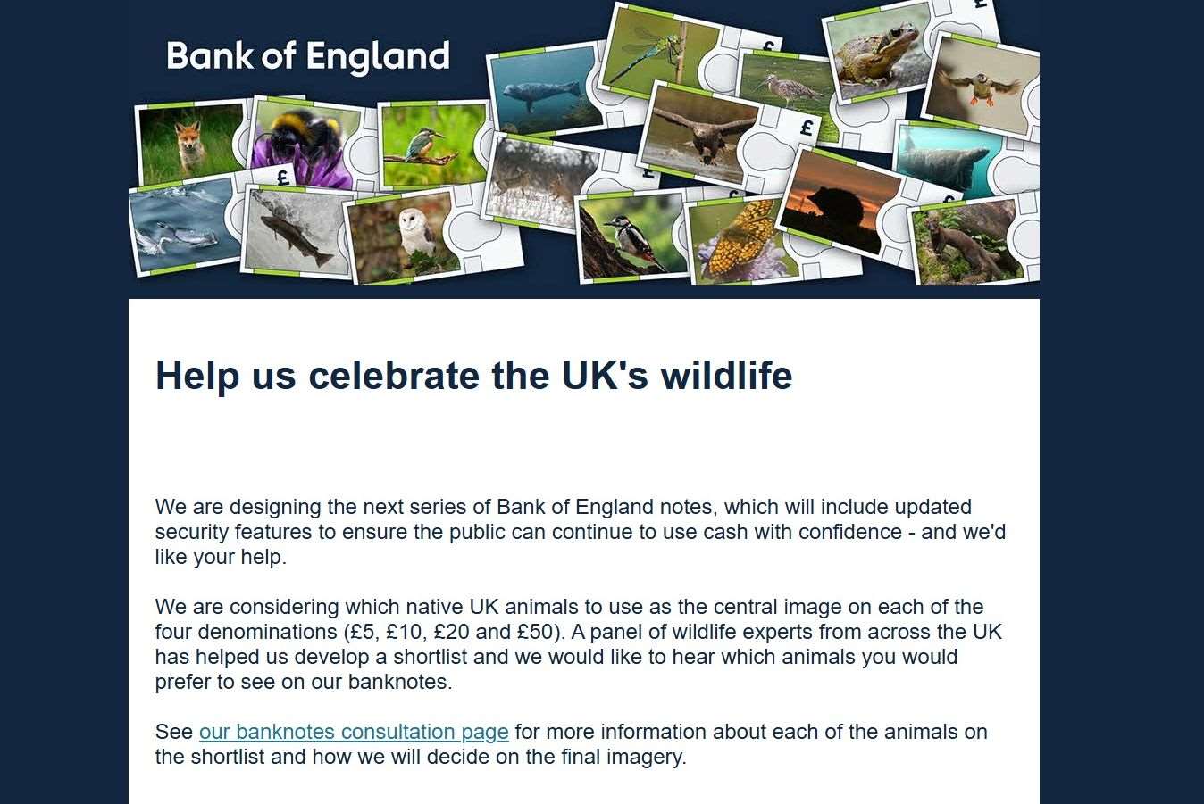英國新一版紙鈔設計考慮採用狐狸、鯊魚和海鸚等野生動物圖案，取代現有紙鈔上的歷史人物。 (圖:翻拍自英格蘭銀行官網)