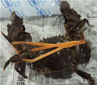 /image/rti/images/listimg/2026/6/small/007b374c-9dc9-468b-96b5-21c6c71eaf75.jpg
