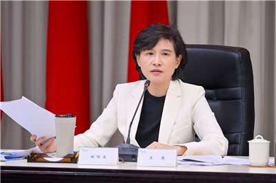 行政院副院長鄭麗君主持行政院「無人載具產業發展及管理機制專案會議」。(圖：行政院提供)