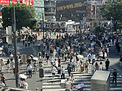 日本政府將加強查緝非法勞工，未來出入國在留管理廳將可強制遣返外籍雇主。圖為澀谷街頭。