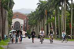 英國QS世界大學排名，台灣大學全球排名第54。圖為台大校園椰林大道。