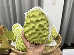 台東縣長饒慶鈴以預錄影片方式參加海峽論壇爭取釋迦市場遭查處，引發兩方論戰。圖為鳳梨釋迦。