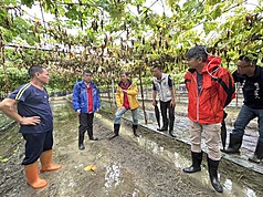 屏東6月豪雨連連農損多，屏東縣副縣長黃國榮(左3)26日與農糧署相關人員赴屏北、屏中鄉鎮視察農
漁損狀況。（屏東縣政府提供）