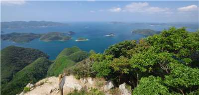 日本政府決定加強無人島管理，其中長崎縣對馬島為日本政府指定的「特定有人國境離島」。圖為從對馬的城山俯瞰淺茅灣。(維基百科)