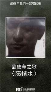 劉德華之歌-忘情水