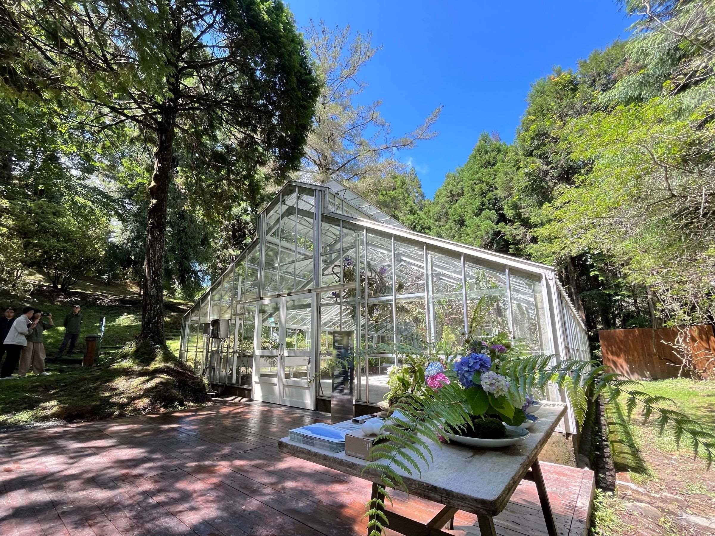 阿里山植物園溫室「浮光界」生態旅遊全新起點