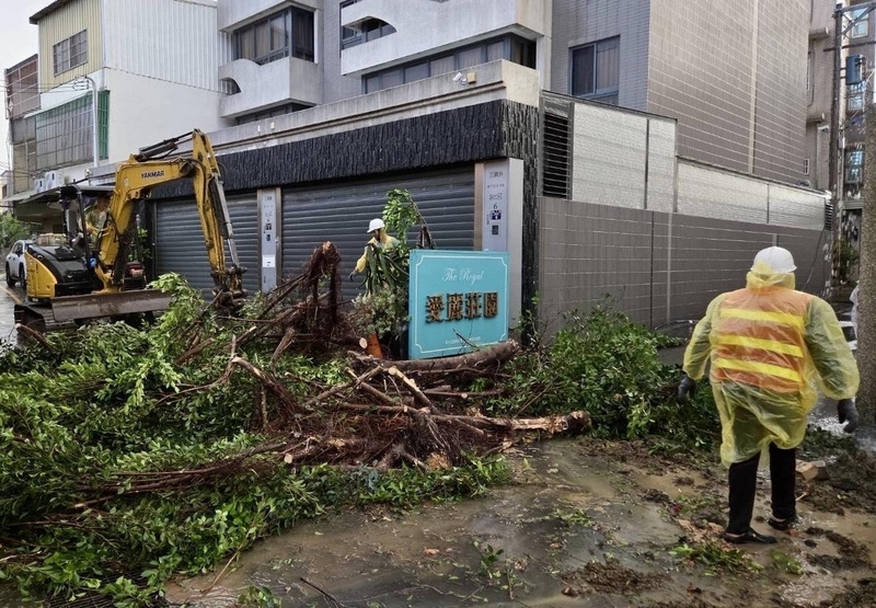 受颱風巴威襲台影響，桃竹苗花部分地區12日停班停課。圖為新竹市零星路樹傾倒災情。