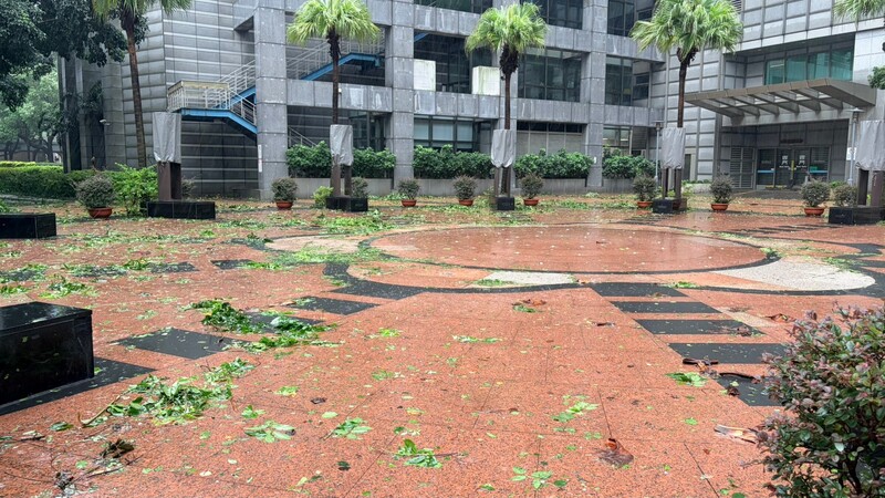 颱風巴威為台灣帶來風雨，新北市民廣場11日到處可見殘枝落葉。市府環保局表示，12日將加班收運垃
圾，視風雨情形並以人員安全無虞為前提，提早動員清掃街道與髒亂點。