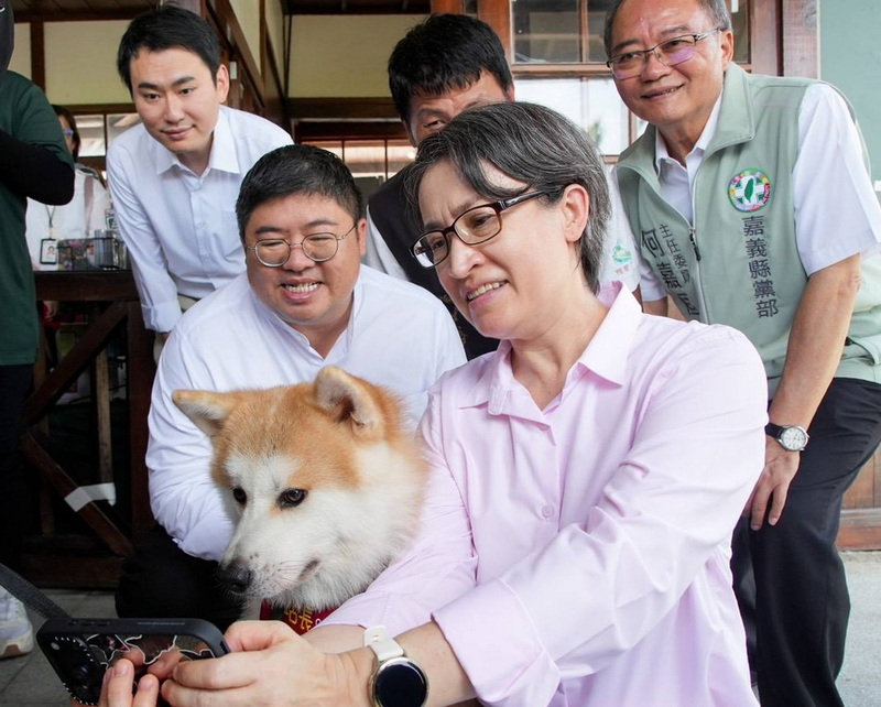 阿里山林鐵鹿麻產站站長「波吉」是一隻2歲的秋田犬，喜歡與人互動，吸引不少人專程前來朝聖。21日副總統蕭美琴（前右1）特別到鹿麻產站「擼狗」與牠自拍。民進黨立委蔡易餘（前右2）、陳冠廷（後左1）也到場。
（蔡易餘提供）