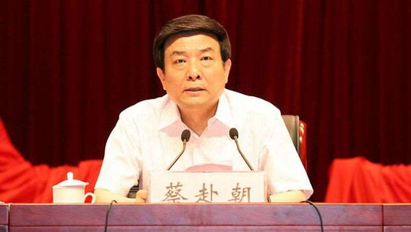 中共中宣部前副部長蔡赴朝被查。 (圖:翻拍自央視網)