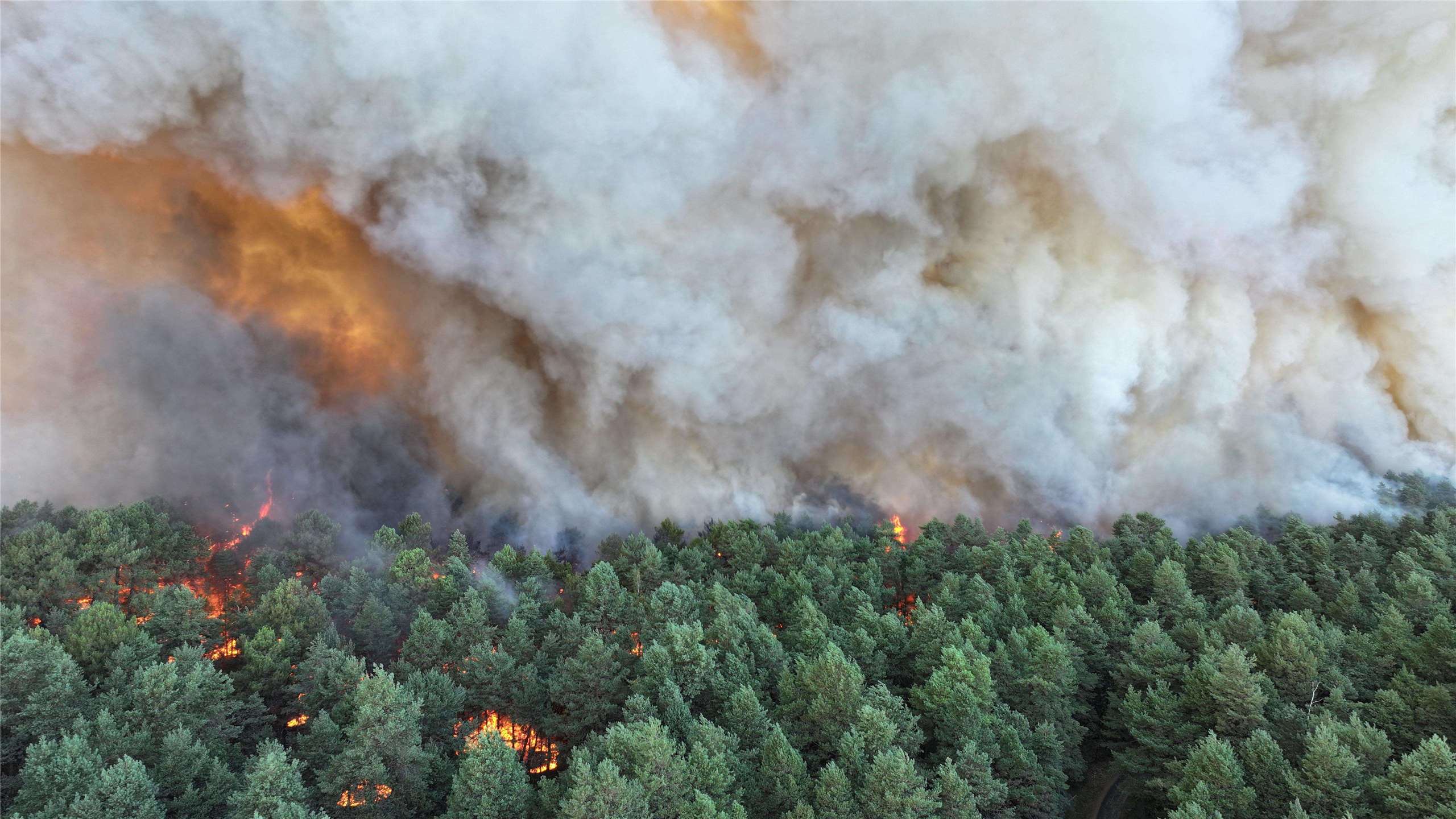 法國楓丹白露(Fontainebleau)森林以前是皇家狩獵保護區，12日傳出大火燃燒。(AFP)