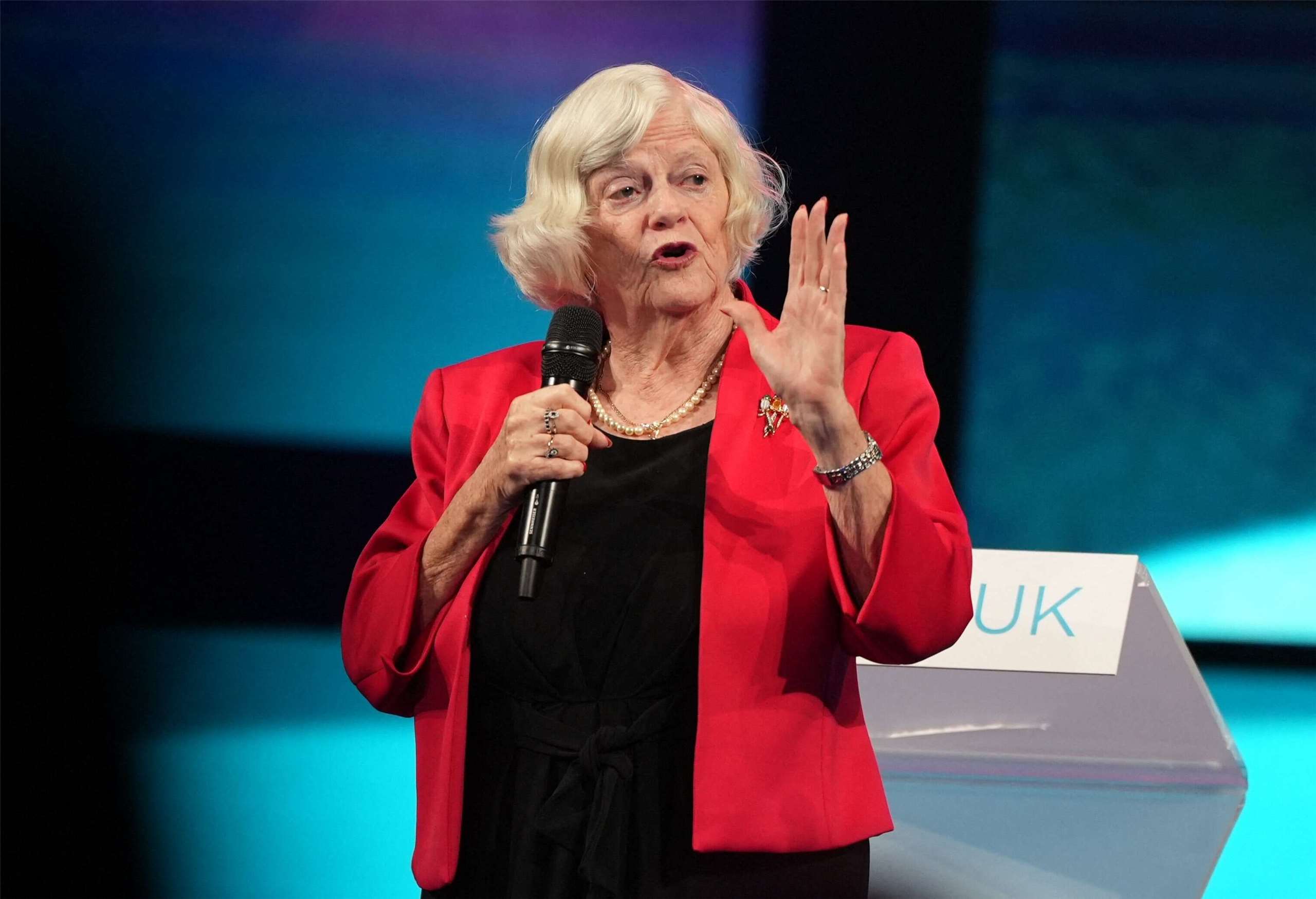 涉嫌殺害前英國政府內閣大臣威德科姆(Ann Widdecombe）)的1名28歲男子遭捕。資料照片(AFP)