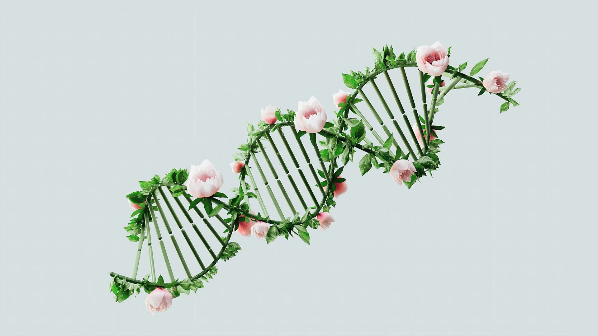歐盟更新基因編輯作物管理制度，學者呼籲台灣跟進建立相應法規。示意圖。(Unspalsh圖庫)