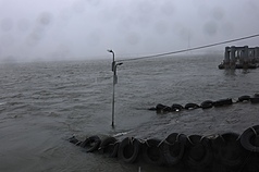 颱風巴威暴風圈已進台灣，北台灣11日風雨明顯增強。圖為新北市淡水老街，所有船隻受到颱風影響停駛。