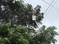 台電表示，颱風期間若發現停電或電力設備異常，可利用1911客服專線或台電停電通報管道反映，將持續視天候狀況待命搶修，降低颱風對供電影響。（台電公司提供）
