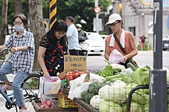颱風巴威遠離，氣象署12日上午解除颱風警報。各地
天氣逐漸恢復穩定，台北市民眾前往雙連市場採買蔬
果。