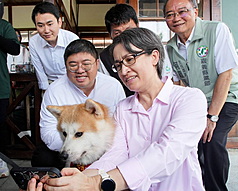 阿里山林鐵鹿麻產站站長「波吉」是一隻2歲的秋田犬，喜歡與人互動，吸引不少人專程前來朝聖。21日副總統蕭美琴（前右1）特別到鹿麻產站「擼狗」與牠自拍。民進黨立委蔡易餘（前右2）、陳冠廷（後左1）也到場。
（蔡易餘提供）