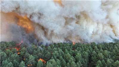法國楓丹白露(Fontainebleau)森林以前是皇家狩獵保護區，12日傳出大火燃燒。(AFP)