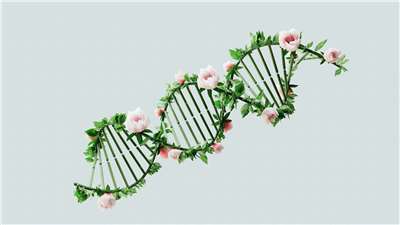 歐盟更新基因編輯作物管理制度，學者呼籲台灣跟進建立相應法規。示意圖。(Unspalsh圖庫)