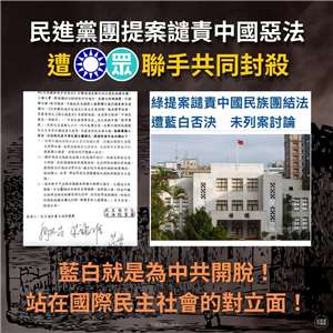 中國施行「民族團結進步促進法」，民進黨立法院黨團提案譴責，立法院會藍白挾人數優勢否決。(圖:翻拍民進黨中國部臉書)