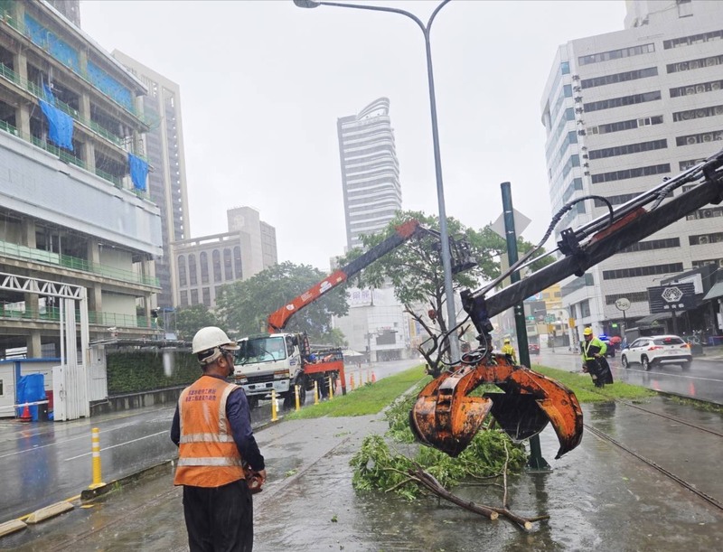 高雄豪雨不斷，各地陸續出現積淹水災情，一輛輕軌列車23日上午行經C24至C23站間，遭傾倒路樹輕微擦撞。
（高雄捷運警察隊提供）