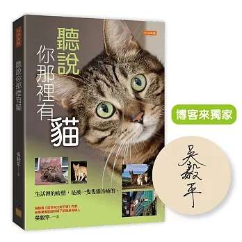 聽說你那裡有貓：生活裡的疲憊，是被一隻隻貓治癒的