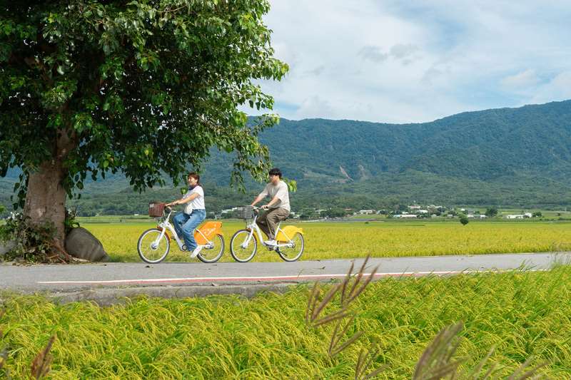 交通部觀光署為帶動旅客平日出遊，規劃國旅補助優惠方案。圖為民眾在台東知名景點伯朗大道上騎自行車資料照。(台東縣政府提供)