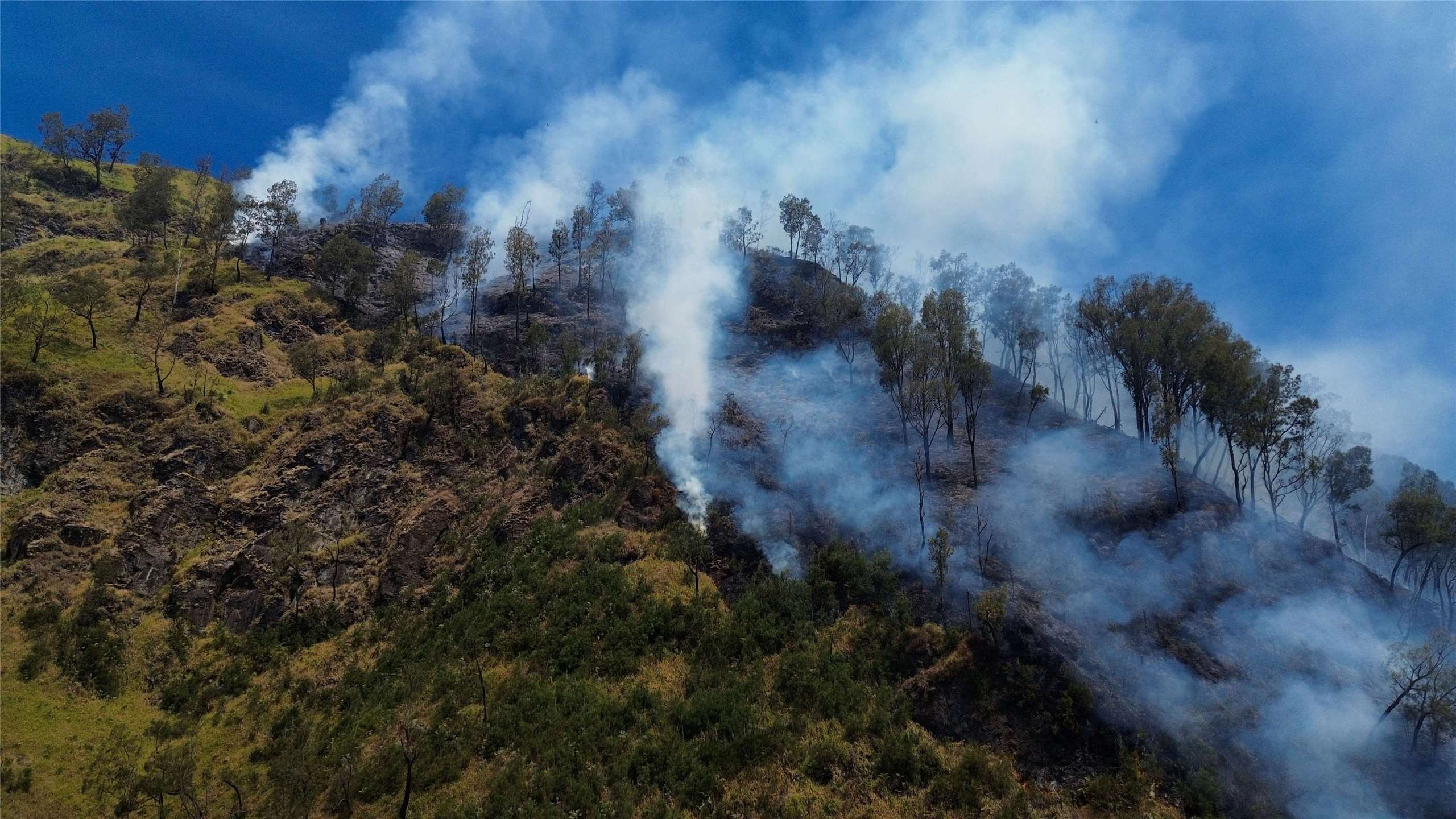 野火肆虐已燒毀婆羅摩火山大約176公頃(434.91英畝)土地，婆羅摩火山國家公園已在8日晚間關閉。