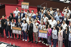 立法院會14日處理藍白兩黨團提出的公投提案，國民黨立委齊聚議場，高舉「重啟核能公投、顧經濟」及「鞭刑公投、顧治安」手板，高呼口號表達支持立場。