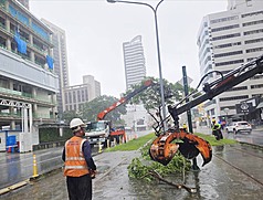 高雄豪雨不斷，各地陸續出現積淹水災情，一輛輕軌列車23日上午行經C24至C23站間，遭傾倒路樹輕微擦撞。
（高雄捷運警察隊提供）