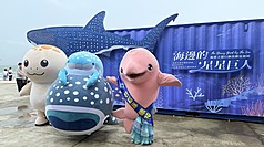 「海邊的星星巨人－鯨鯊主題行動貨櫃巡迴展」30日在高雄開展，展至10月28日；後續將巡迴台南、台中、花蓮及台北，展期至民國116年10月3日。（海保署提供）