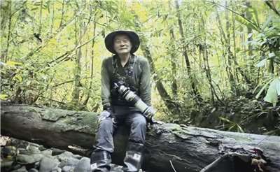 第45屆行政院文化獎5日舉行頒獎典禮，得獎者之一、生態保育先驅徐仁修因早已安排前往巴布亞紐幾內亞熱帶雨林進行生態調查，無法返台領獎，特別透過預錄影片，從雨林向台灣分享獲獎心情。(擷取自行政院文化獎頒獎典禮直播畫面)