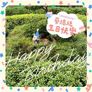 前總統蔡英文70歲生日，賴清德總統在社群平台分享斑斑的生日卡，祝福蔡英文生日快樂。（賴清德Threads）