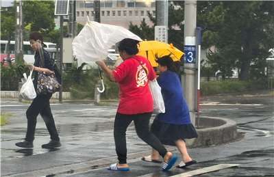 颱風昌鴻來襲，茨城縣民眾11日在強風中匆忙行走，雨傘都開花了。
