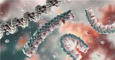 信使核糖核酸(mRNA)分子示意圖。(AFP)