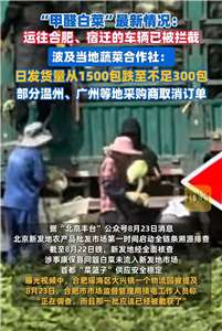甲醛白菜、敵敵畏消毒餐具 中國網民怒斥食安(圖取自微信)