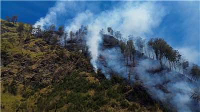野火肆虐已燒毀婆羅摩火山大約176公頃(434.91英畝)土地，婆羅摩火山國家公園已在8日晚間關閉。