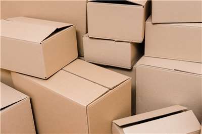 去年曾海外網購的民眾注意了！聯邦快遞(FedEx)和優比速(UPS)等物流業者開始退關稅。示意圖。(Freepik圖庫)