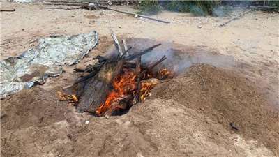 金門金寧鄉烏沙角岸際22日發現1隻海漂豬屍，現場採樣消毒就地焚化掩埋，送檢後驗出非洲豬瘟陽性反應。金門豬肉及加工品即日起暫停輸往本島及其他離島至8月31日。(金門縣政府提供)
