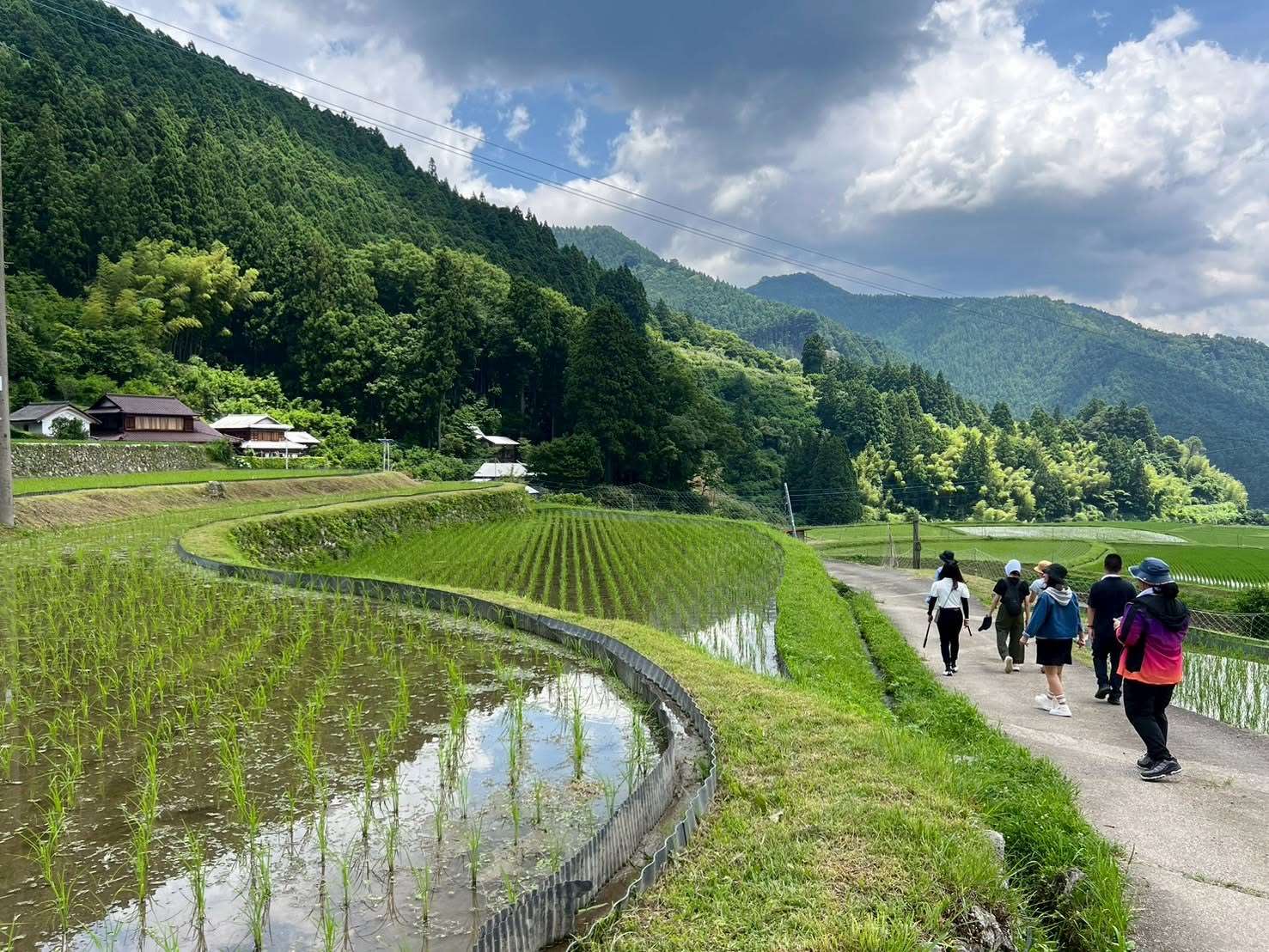 水流東休閒農業區  本照片轉載自水流東休閒農業區fb